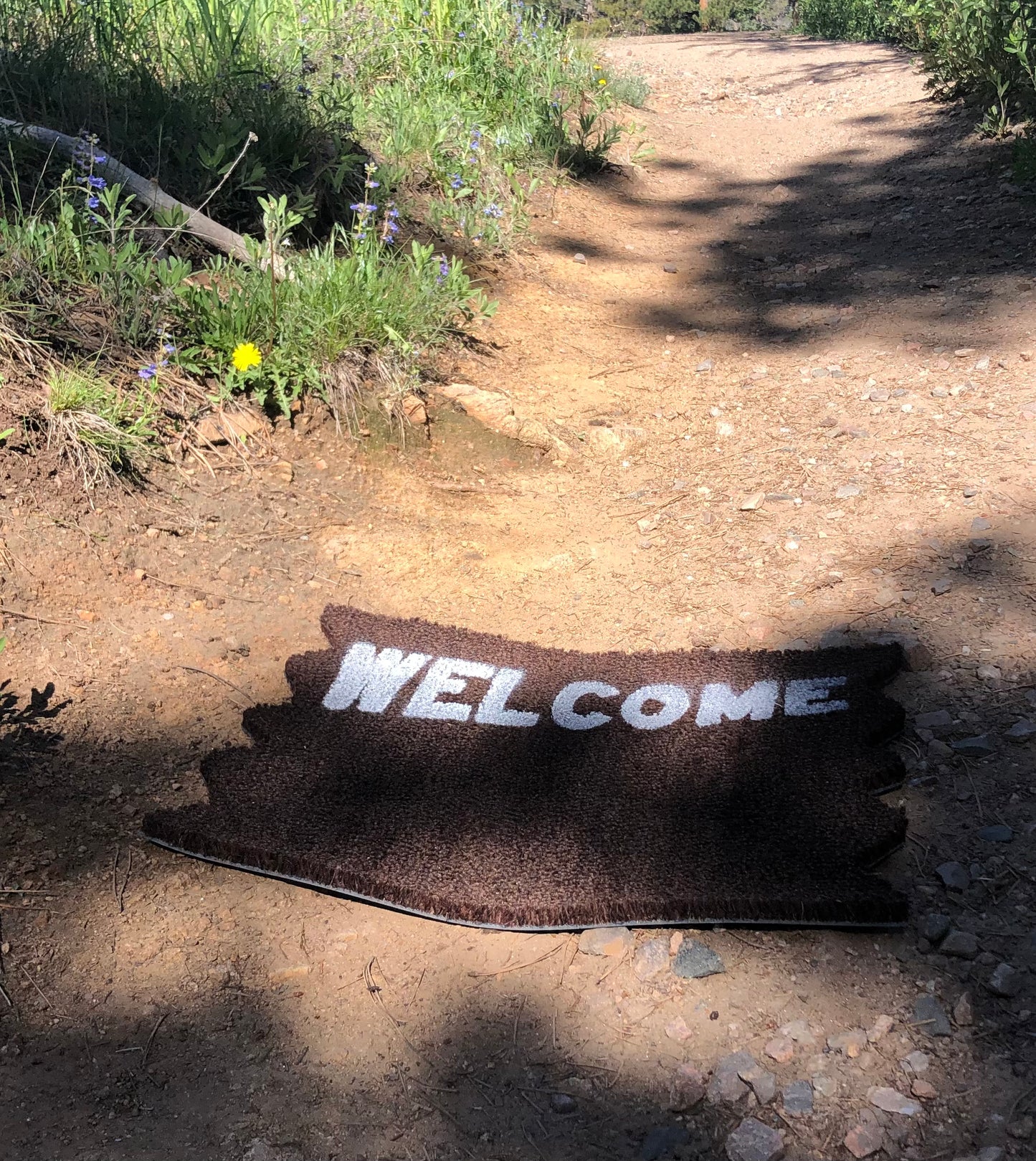 "Welcome" Mat